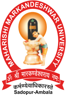 University Logo